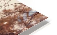 Autumn HD Metal print