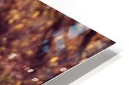 Autumn mood HD Metal print