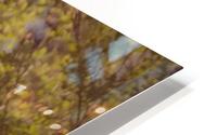 Bright mood HD Metal print