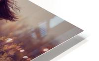 Beautiful autumn HD Metal print