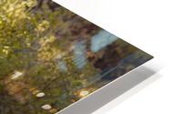 Summer Study HD Metal print
