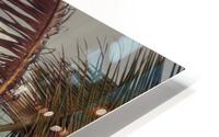 Wild beach HD Metal print