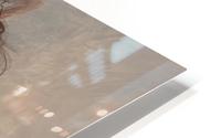 Light and water HD Metal print