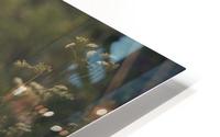 Summer HD Metal print