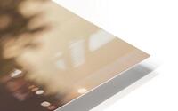 Warm evening HD Metal print