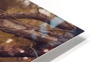 Autumn rain HD Metal print
