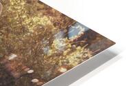 Summer evening HD Metal print