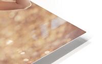 Summer motives HD Metal print