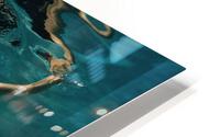 underwater fantasy HD Metal print
