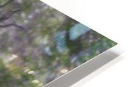 Fern flower HD Metal print
