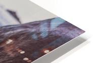 Heat HD Metal print
