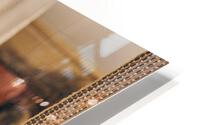Martha HD Metal print