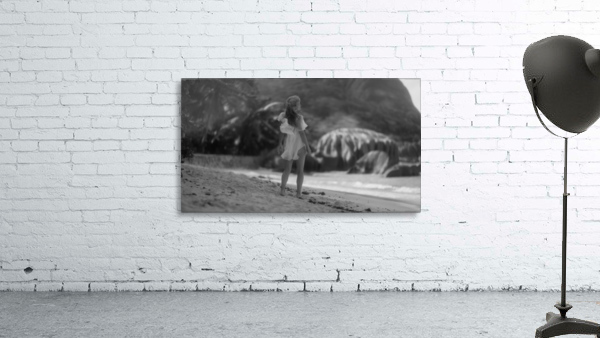 Seychelles Wall Preview