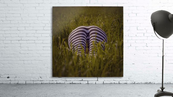 Zebra meets friends Wall Preview