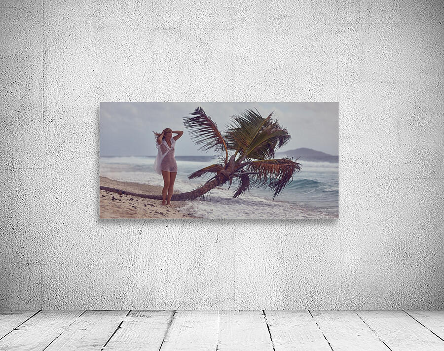 Always summer Wall Preview
