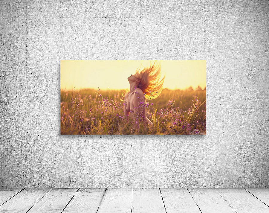 Flowers at sunset Wall Preview
