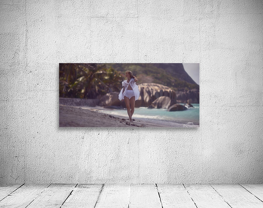 Seychelles La Digue Wall Preview
