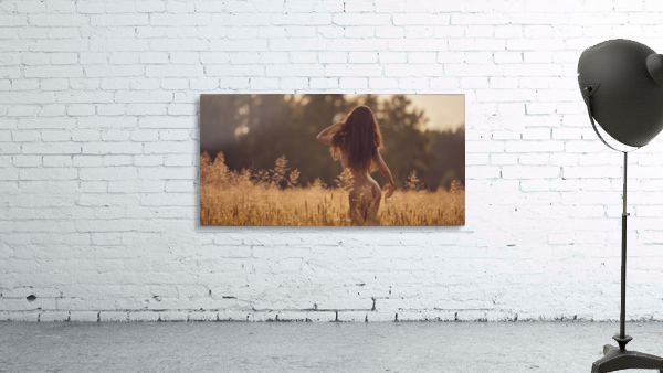 Warm evening Wall Preview