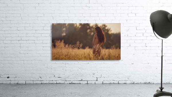 Warm evening Wall Preview