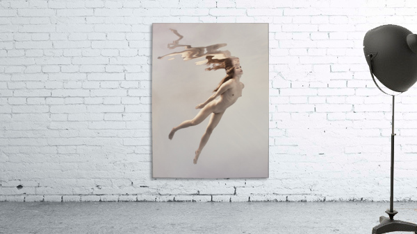 To fly Wall Preview