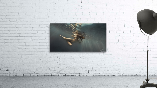 Silence Wall Preview