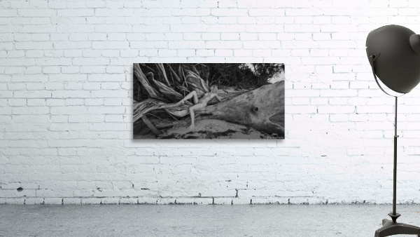 Wild beach Wall Preview