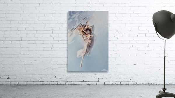 Ease Wall Preview