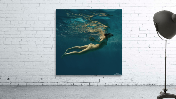 underwater fantasy Wall Preview