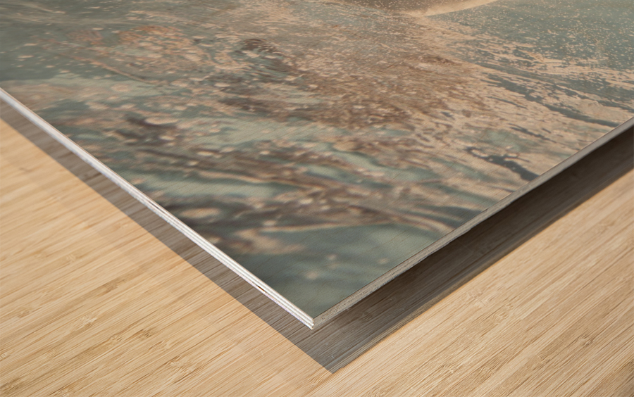 Shine Wood print