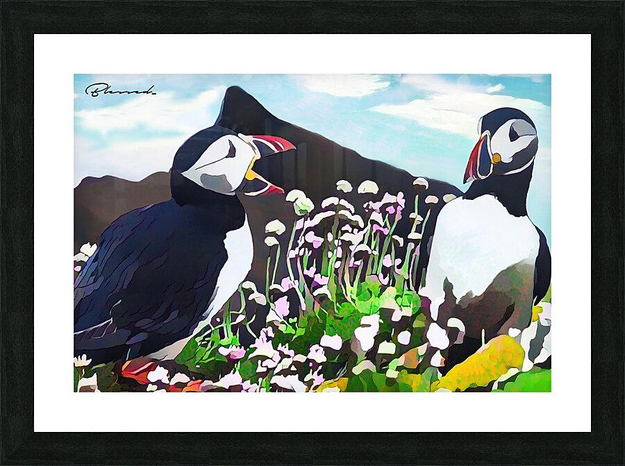  Tirage d’art