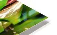 Peeking Through The Grapevine HD Metal print