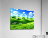 Landscape natural Acrylic Print