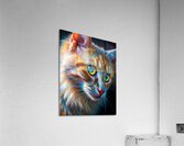Orange cat sureal Acrylic Print