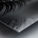 Eye iris  42900 Metal print