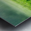 Field morning Metal print