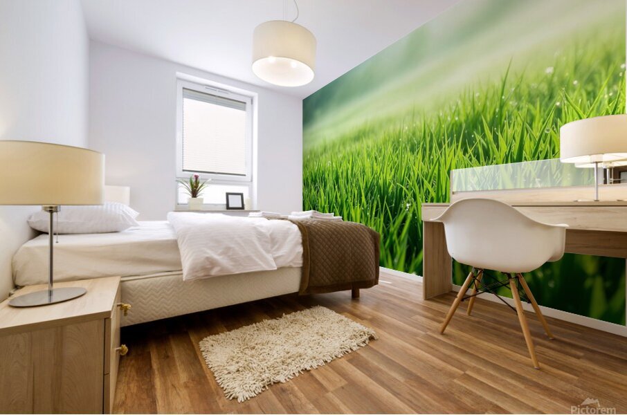 Field morning Mural print
