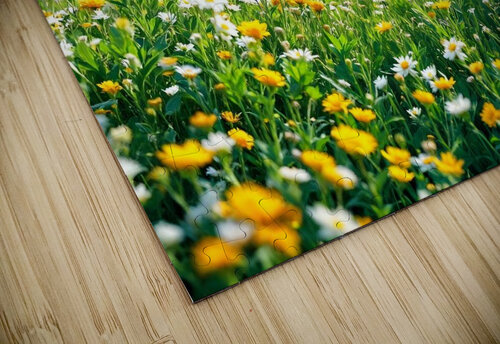 Flowers natural JoArt puzzle
