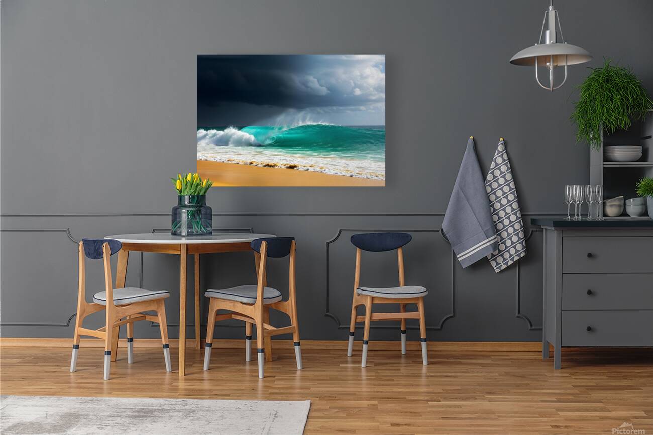 Storm Surge Reproduction