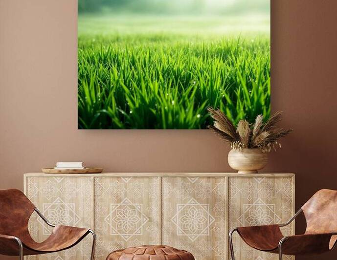 Field morning by JoArt