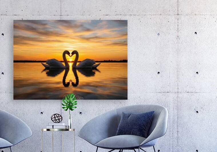 Romantic Sunset Two Swans in Heart Shape by JoArt