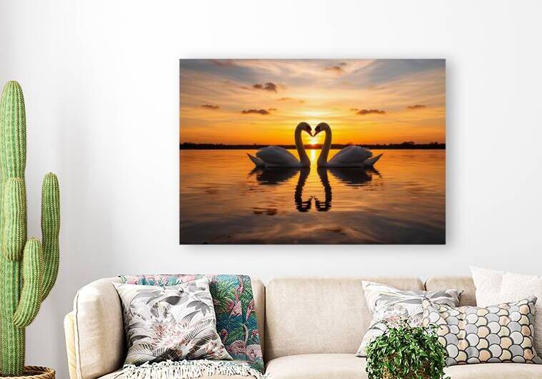 Sunset Silhouette Swans in Heart Formation by JoArt