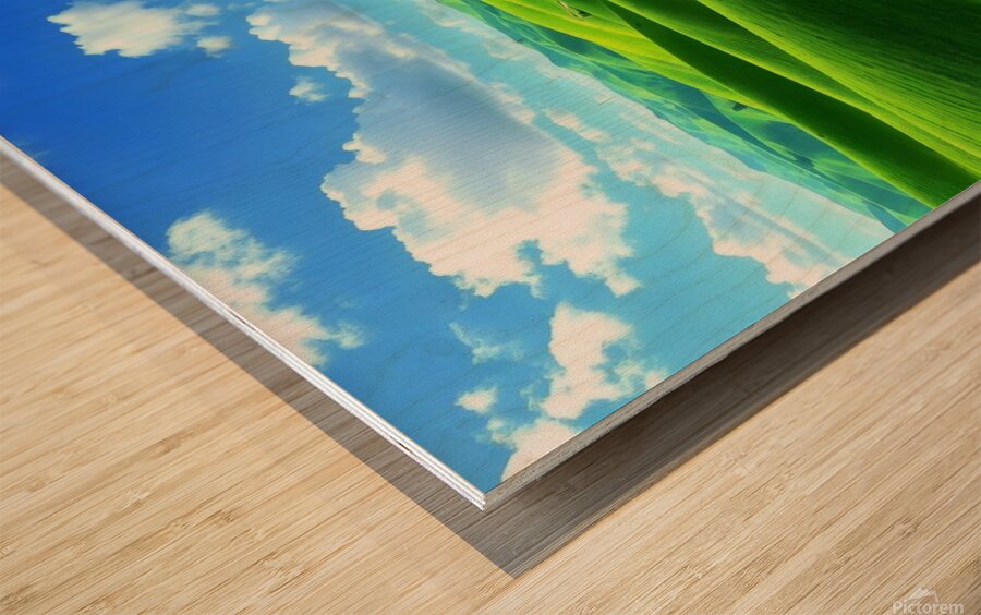 Landscape natural Wood print