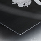 A Spring Tune Metal print