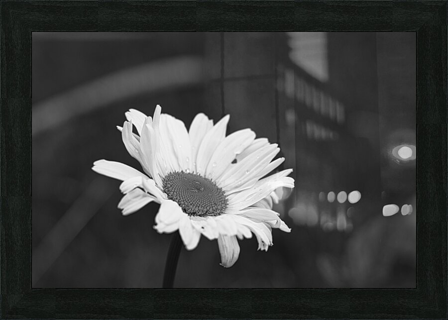 A Spring Tune Picture Frame print