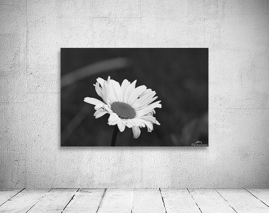 A Spring Tune Wall Preview