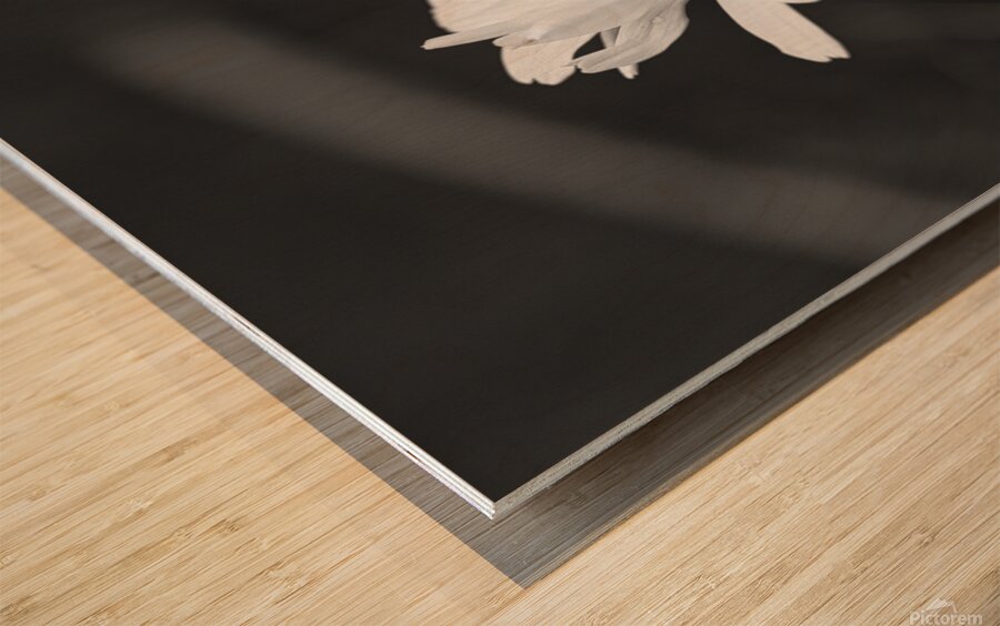 A Spring Tune Wood print