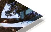 Estuary Through Old Tree HD Metal print
