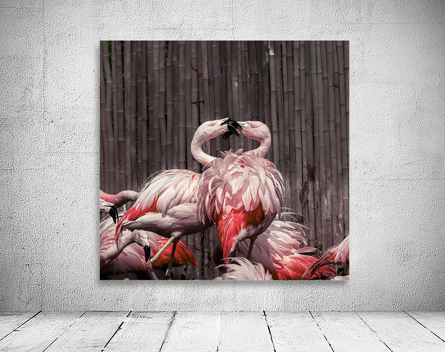 Flamingo Mingle  Wall Preview