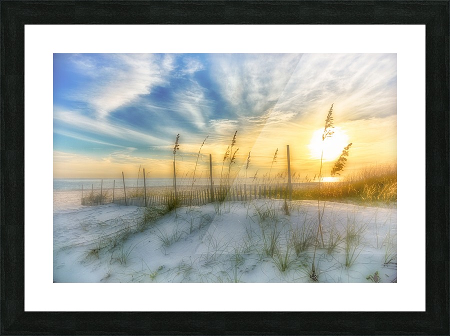 A Beach Dream Picture Frame print