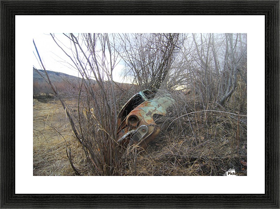 Dale's Antique Beach Picture Frame print